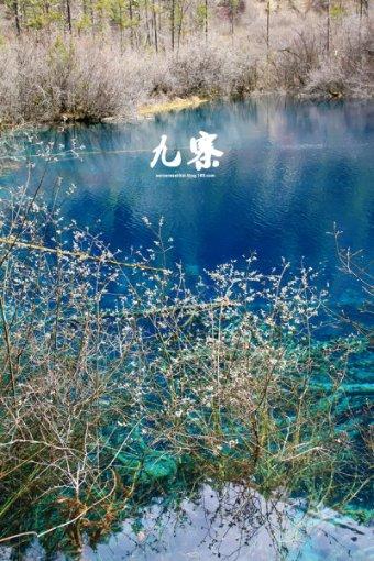 动物帮帮忙保卫家园