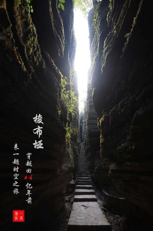 小猫钓鱼正版下载中文版